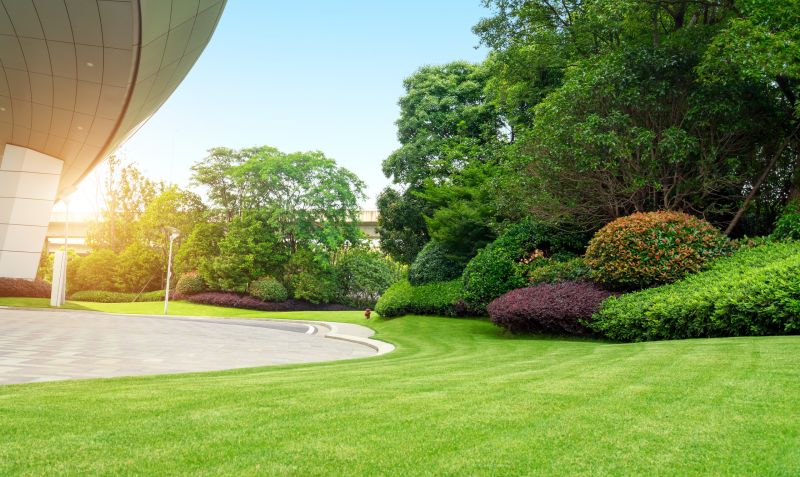 Park Landscaping in Honolulu, HI